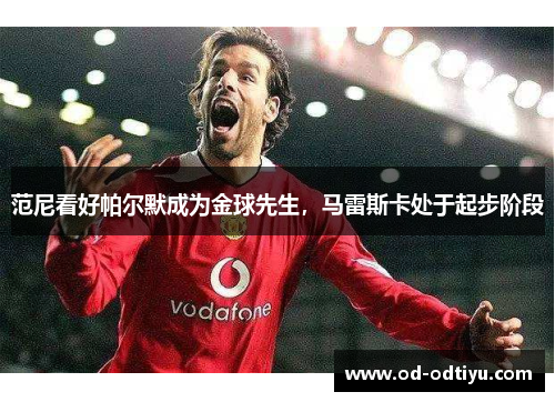 范尼看好帕尔默成为金球先生，马雷斯卡处于起步阶段